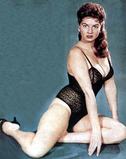 Java's Bachelor Pad--Jackie Miller